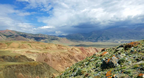 Altay Dağları'nın yaz manzarası. Bu şehirlerden uzak fnd saf doğal.