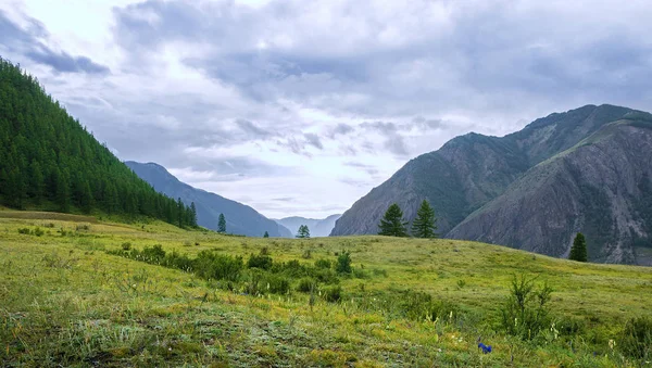 Altay Dağları'nın yaz manzarası. Bu şehirlerden uzak fnd saf doğal.