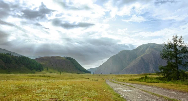 Altay Dağları'nın yaz manzarası. Şehirlerden ve saf doğal.