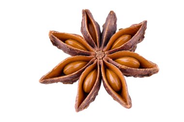 Anason yıldızlı closeup beyaz arka plan üzerinde izole