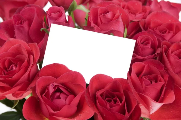 Carte Blanche Dans Bouquet Roses Sur Fond Blanc — Photo