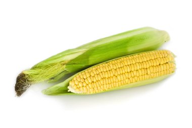 Beyaz bir arka planda, izole sarı Mısır