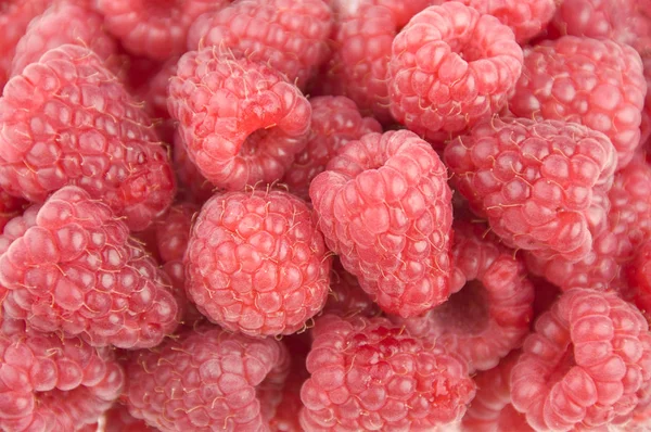 신선한 딸기의 — 스톡 사진