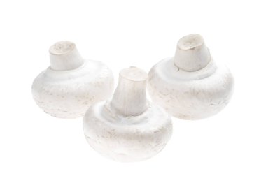 Beyaz arka planda üç beyaz mantar.