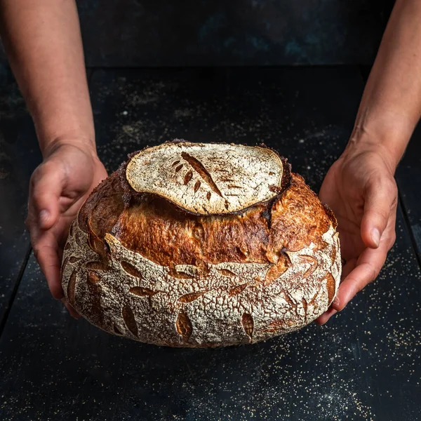 A bread with a hat - open crumb sourdough bread