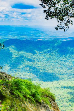 Belgili tanımlık görüş Pha Sut kalem DIN Pa Hin Ngam Milli Parkı'nda, Tayland Chaiyaphum dağların.
