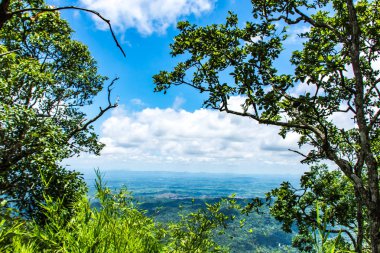 Belgili tanımlık görüş Pha Sut kalem DIN Pa Hin Ngam Milli Parkı'nda, Tayland Chaiyaphum dağların.