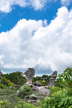 Taş tavuk, Pa Hin Ngam Milli Parkı, Chaiyaphum Tayland. Görünmeyen Tayland.
