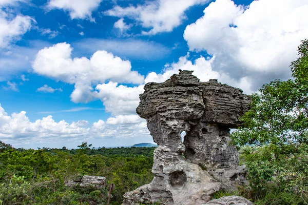 Taş fil, Pa Hin Ngam Milli Parkı, Chaiyaphum Tayland. Görünmeyen Tayland.