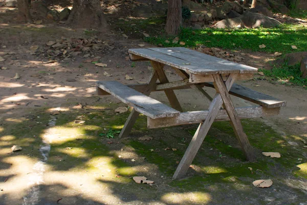 Die Holztische Auf Dem Fußboden Einem Öffentlichen Park — Stockfoto