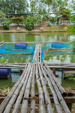 Kafes balık gölet yetiştiriciliği