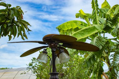 Lamba Dekorasyon bahçe ile fan.