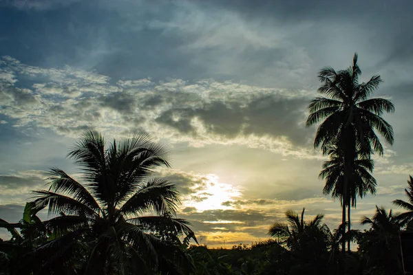 Schöne Morgenstunden Mit Leichten Wolken Und Kokospalmen — Stockfoto