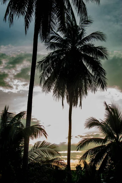 Hermosas Mañanas Con Nubes Claras Cocoteros — Foto de Stock