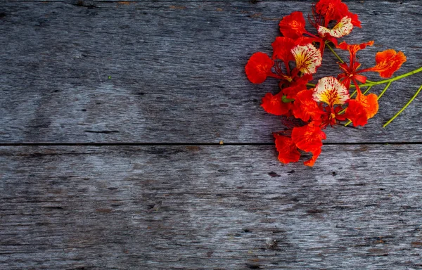 Bir kırmızı çiçek veya Caesalpinia pulcherrima (L.) Sw. ahşap masa üzerinde güzelliği.