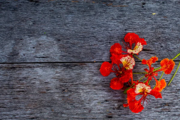 Bir kırmızı çiçek veya Caesalpinia pulcherrima (L.) Sw. ahşap masa üzerinde güzelliği.