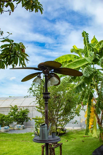 Lamba Dekorasyon bahçe ile fan.