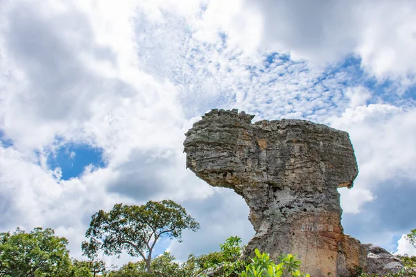 Rock ve gökyüzü dağlarda, Pa Hin Ngam Milli Parkı Chaiyaphum, Tayland.