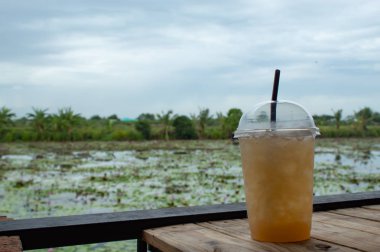 Tatlı şeker palm Lotus gölet güzelliği ile masaya su.