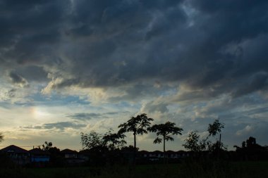 Gökyüzü ve ağaçlar güzelliği.