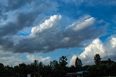 Gökyüzü ve ağaçlar güzelliği.