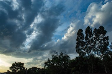 Gökyüzü ve ağaçlar güzelliği.