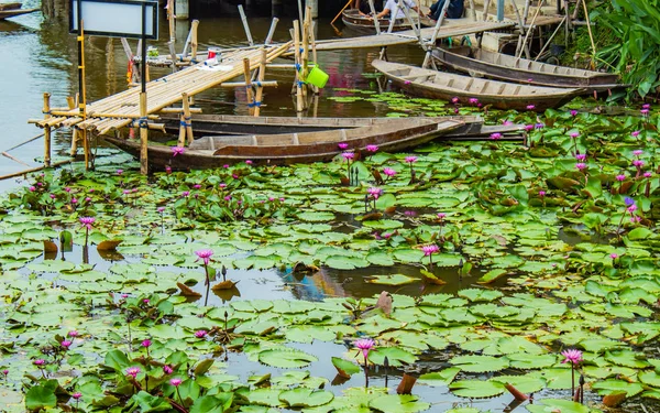 Pembe lotus gölet ahşap tekne.