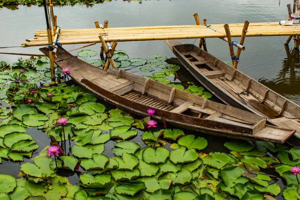 Wooden Boat Pink Lotus Ponds — Stock Photo, Image