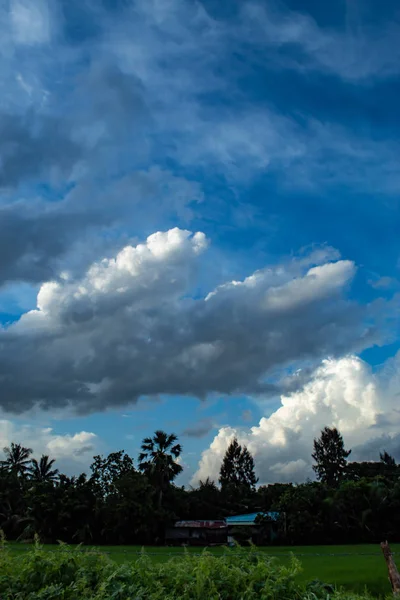 Gökyüzü ve ağaçlar güzelliği.