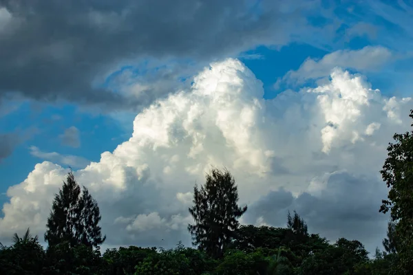 Gökyüzü ve ağaçlar güzelliği.