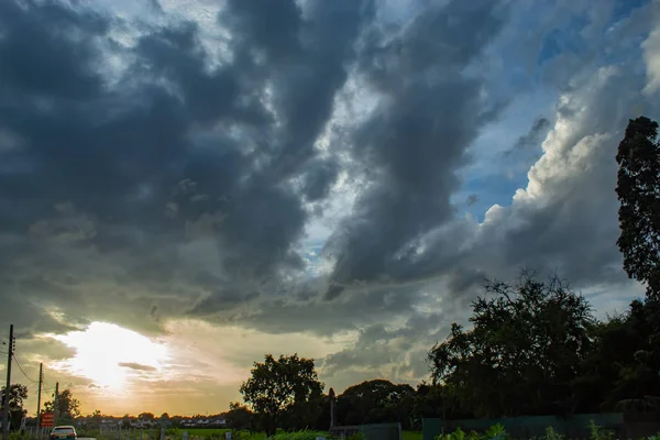 Gökyüzü ve ağaçlar güzelliği.