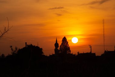 Ağaçların arkasında gün batımının güzel ışığı.