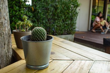 Küçük kaktüs için dekoratif bitki ahşap tablo.