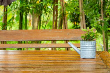 Güzellik için tablo ile küçük bir ağaç.