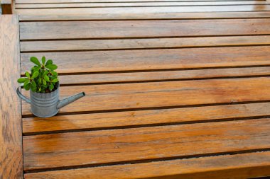 Güzellik için tablo ile küçük bir ağaç.