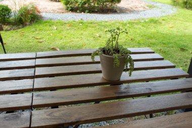 Güzellik için tablo ile küçük bir ağaç.