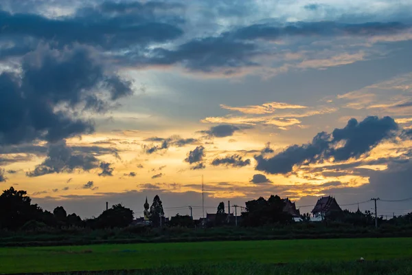 Paddy alanları ve ağaçların arkasında günbatımı.