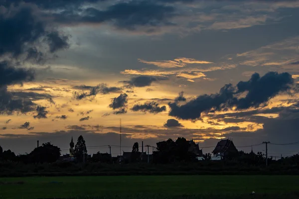 Der Sonnenuntergang Hinter Reisfeldern Und Bäumen — Stockfoto