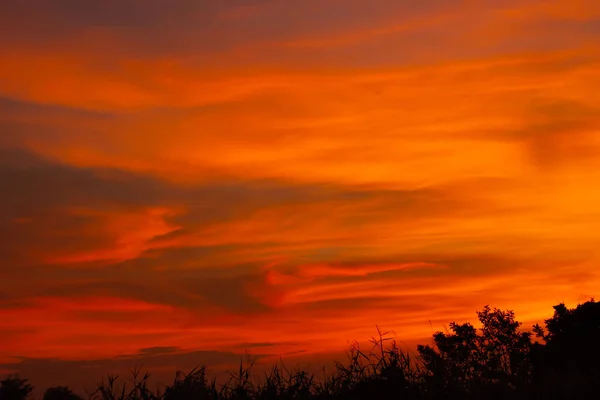 Прекрасне Світло Заходу Сонця Деревами — стокове фото