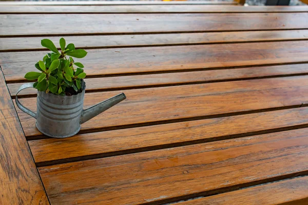 Uma Pequena Árvore Com Mesa Para Beleza — Fotografia de Stock