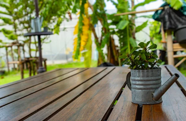 Güzellik için tablo ile küçük bir ağaç.