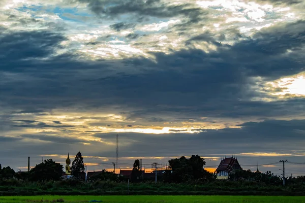 Paddy alanları ve ağaçların arkasında günbatımı.