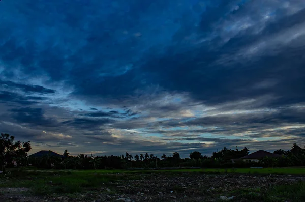 稻田和树木后面的夕阳 — 图库照片