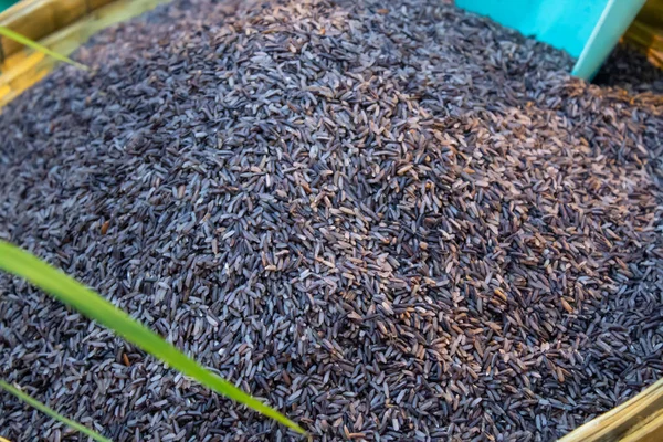 Pirinç çeşitleri türleri