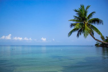 Sabah Denizi. Dalgalar sakin.