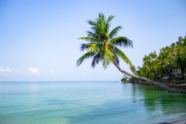 Sabah Denizi. Dalgalar sakin.