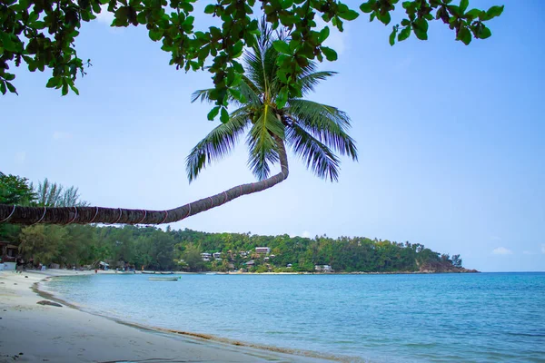 Bellezza Dell Insalata Spiaggia Koh Phangan — Foto Stock