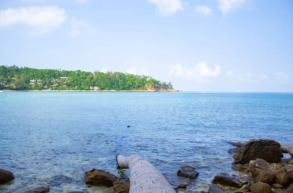 Beach salatası, Koh Phangan güzelliği.
