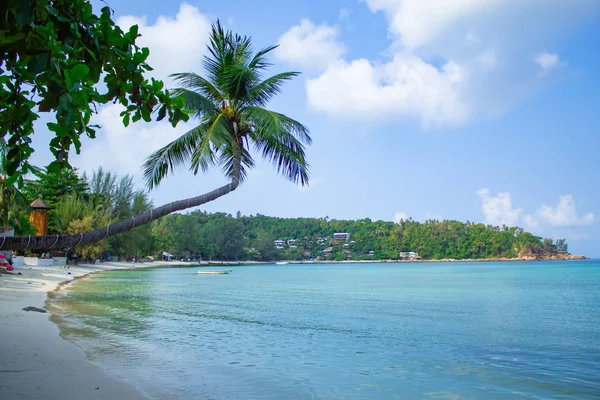 Bellezza Dell Insalata Spiaggia Koh Phangan — Foto Stock