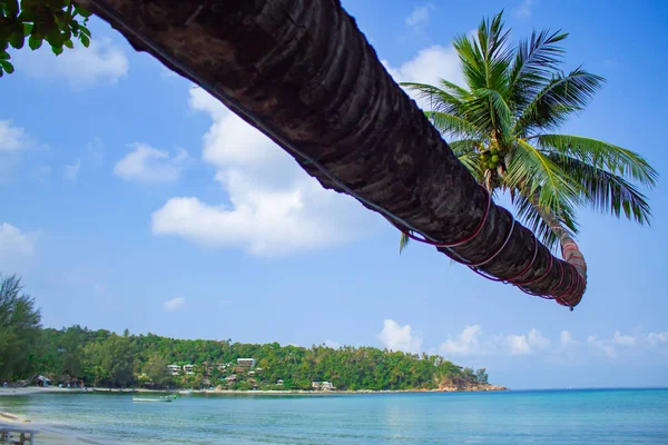 Piękno Salad Beach Koh Phangan — Zdjęcie stockowe